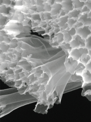 Nanostructured hollow carbon fibers