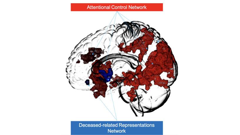 Representation of the avoidant grievers' attentional control process.