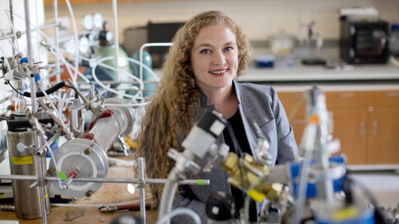 Portrait of Prof. V. Faye McNeill.